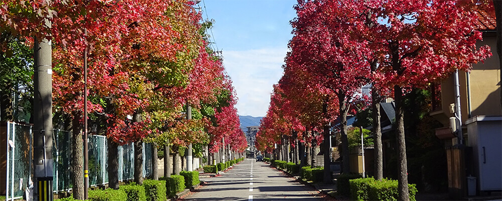 寺地2丁目の紅葉